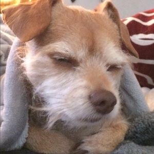 Meet your Posher, Nazito